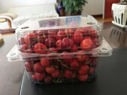 水果吸塑盒案例