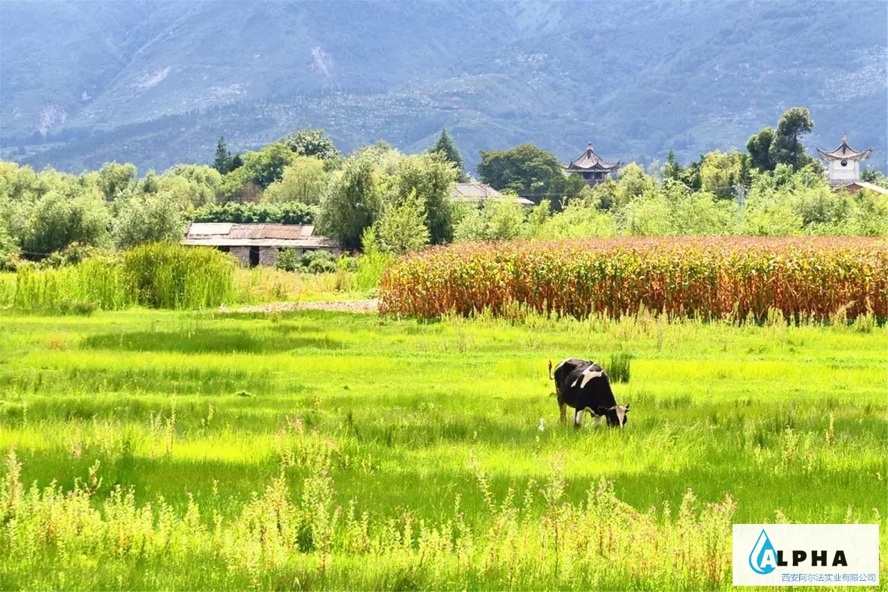 陕西启动水产绿色健康养殖“五大行动”
