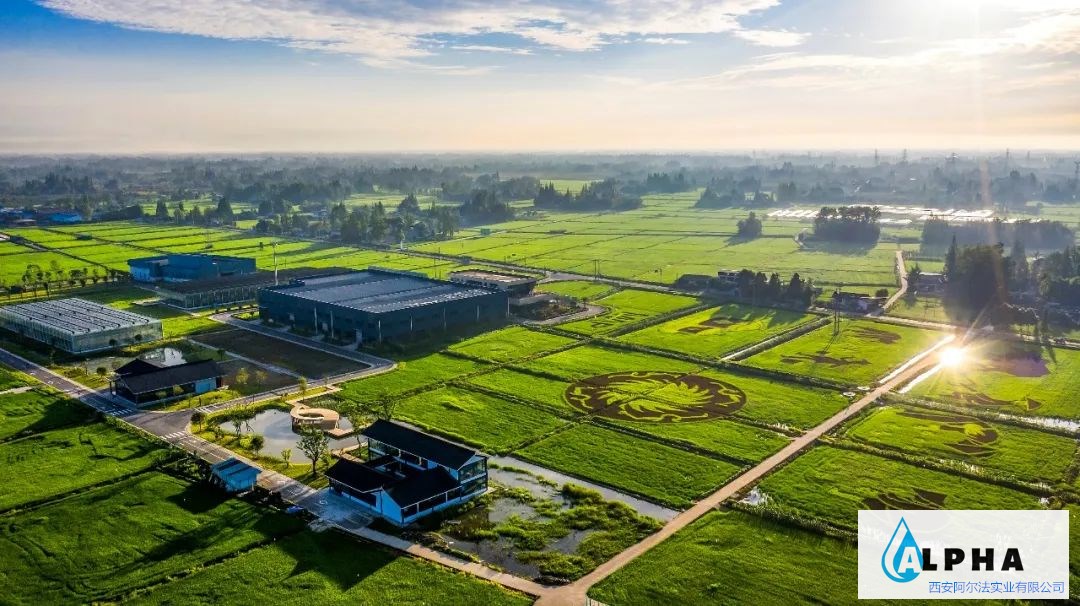 黄河网：陕西持续提升乡村振兴农村供水保障工作