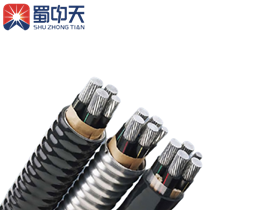 四川电缆厂家-铝合金电缆
