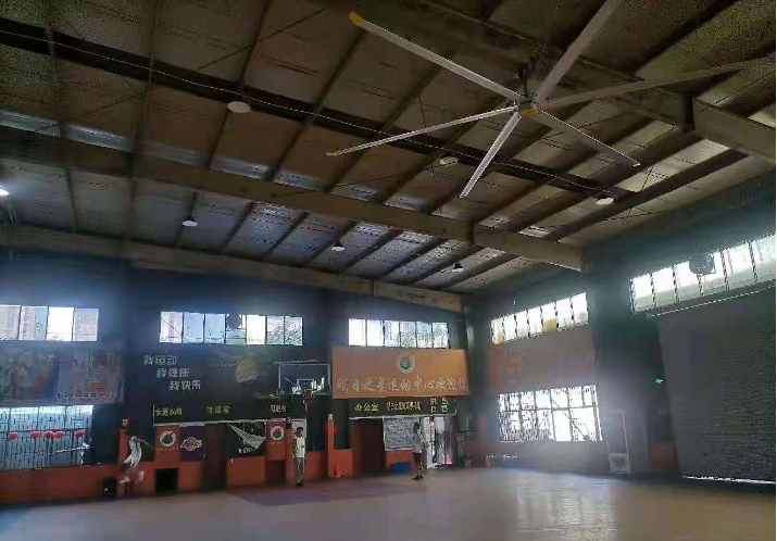 戴森工業大吊扇廣泛用于籃球館