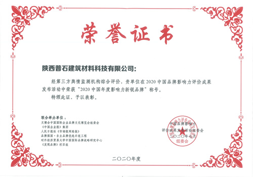 2020品牌影响力新锐品牌