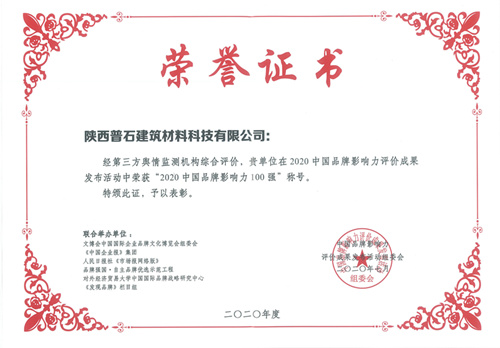 2020中国品牌影响力100强
