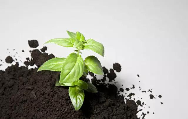 关于土壤调理剂，你了解多少？