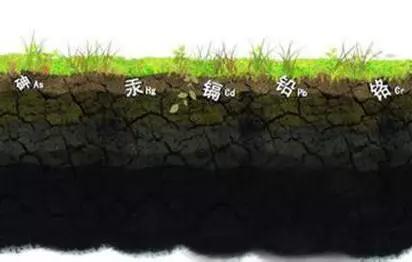 土壤污染