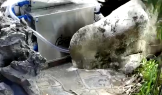 重庆李总使用鱼池过滤器（视频）