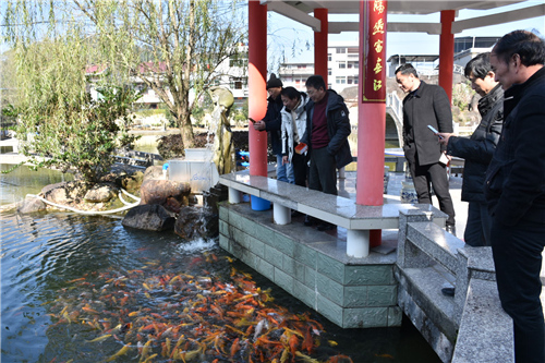 鱼池过滤器设备