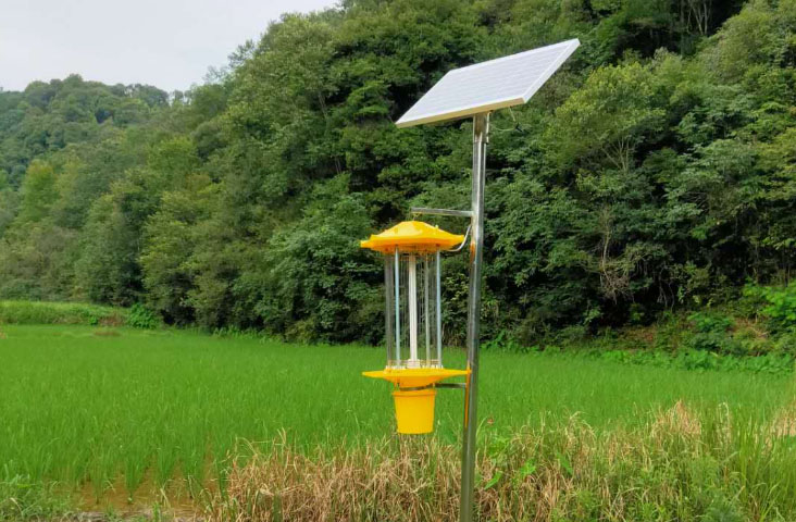 四川路灯厂家：太阳能杀虫灯多少钱一套？