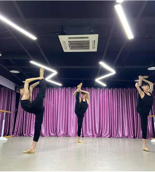 河南舞蹈艺考培训