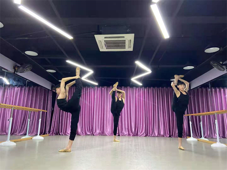 鄭州舞蹈藝考培訓