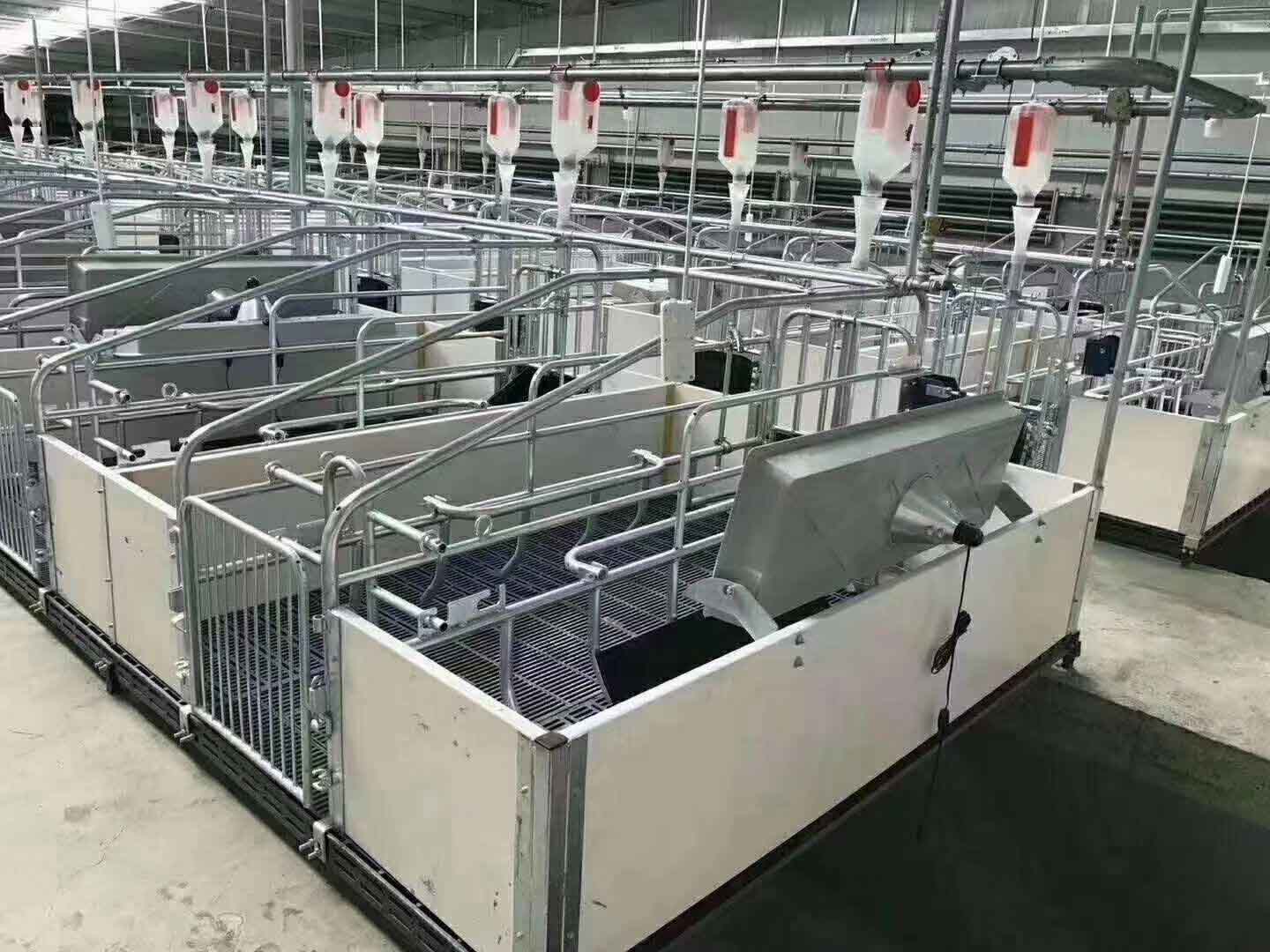 四川母猪产床