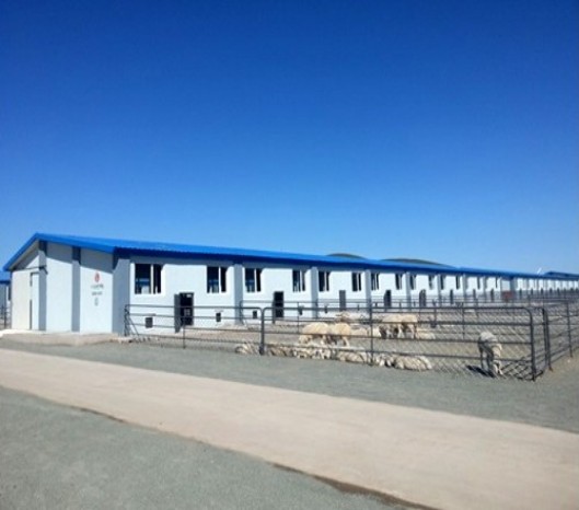 内蒙古牧场设计