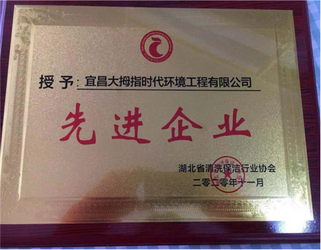 湖北省清洗保洁行业协会授予公司先进企业称号