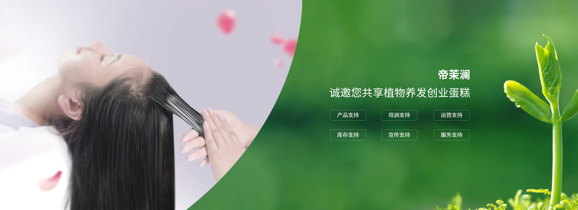 洗护系列批发