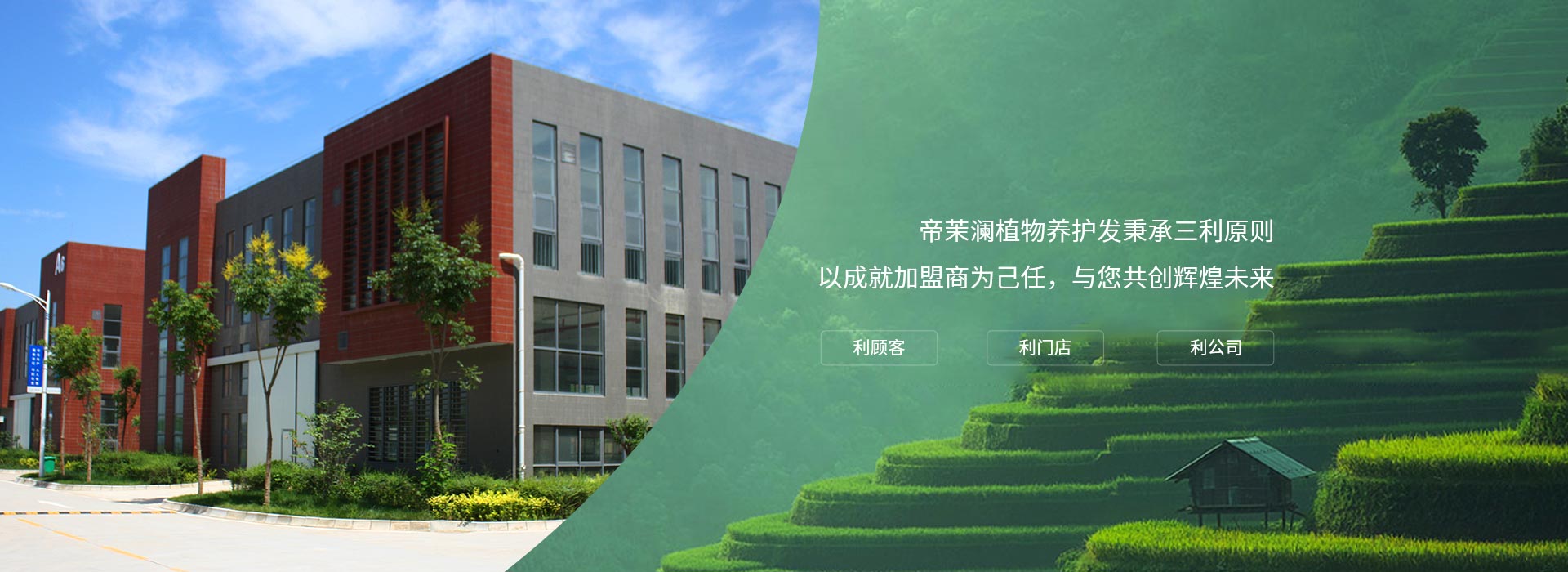 植物养发护发