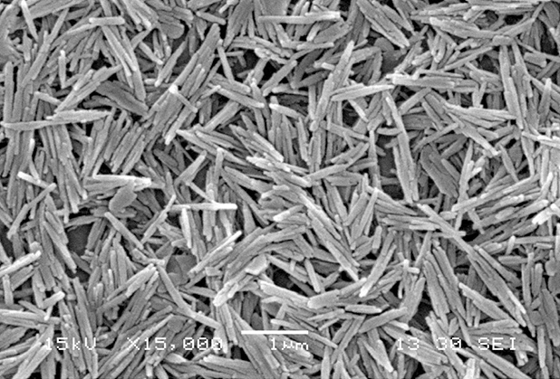 四川成核剂高性能结晶型纳米纤维 CT-003