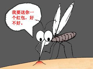 被蚊虫叮咬后四个止痒方法