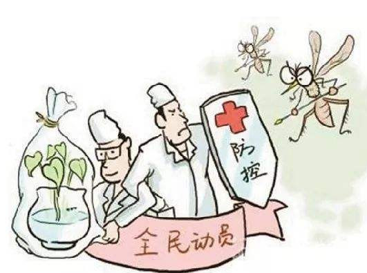 为彻底灭蚊蝇，这五点要注意!