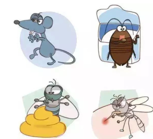 蚊蝇有哪些危害?张家口黄桃视频APP在线看污分享给大家！