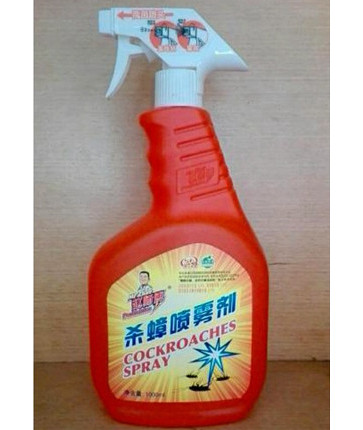 怎样做才能远离蟑螂的侵扰 ?如何预防蟑螂?