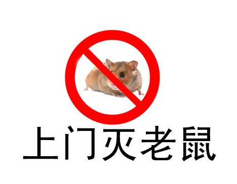 灭鼠应须知的小常识