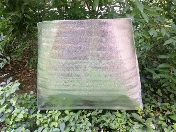 西安珠光膜袋