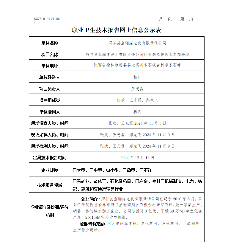 府谷县金骊煤电化有限责任公司
