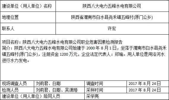 陕西八大电力五峰水电有限公司