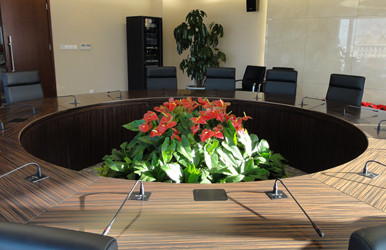會議室花卉租擺案例