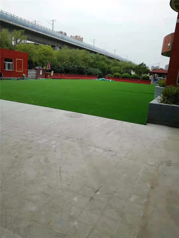 陕西足球场草坪