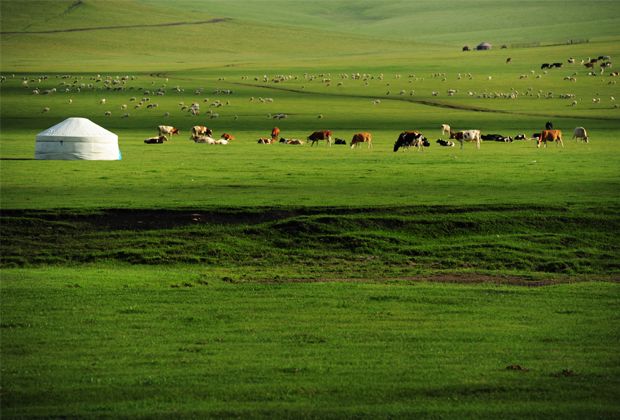 蒙古包的特点和信仰