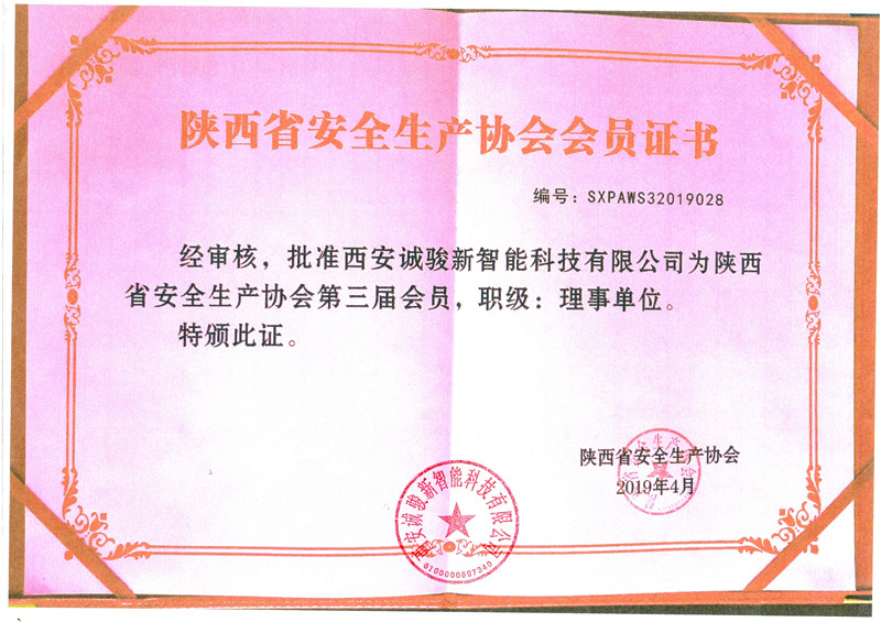 陕西安全生产协会证书