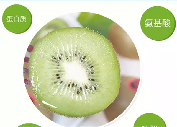 陕西绿心猕猴桃和奇异果品种一样吗，快去学习吧！