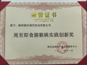 周至即食猕猴桃实践创新奖