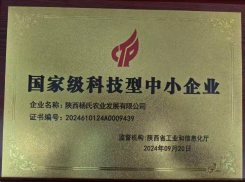 科技型企业证书