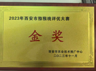 2023年西安市猕猴桃评优大赛