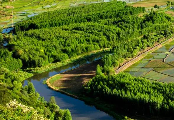 水土保持的植被配置的措施以及土地荒漠化的防止措施