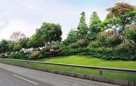 汉中道路绿化施工