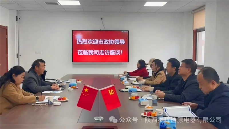 热烈欢迎政协 领 导 走访赋能，为公司发展保驾护航