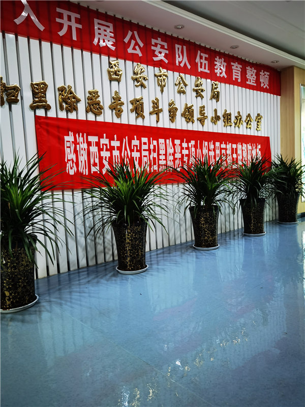 公安局扫黑除恶小组案例