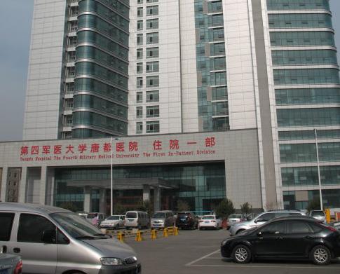 塑胶地板