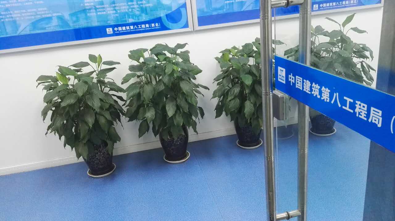 西安塑胶地板