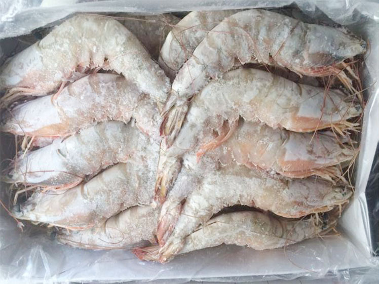 液氮冷冻虾：优势与劣势全面解析