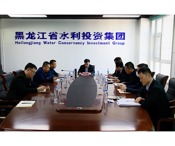 水投集團黨委召開黨史學習教育暨貫徹**國有企業(yè)黨的建設工作會議精神推進會議
