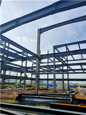 四川钢结构工程-蒲江惠尔斯项目1号车间钢结构工程