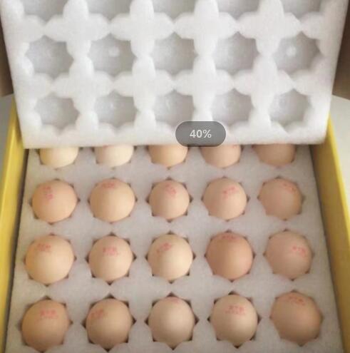 鸡蛋包装