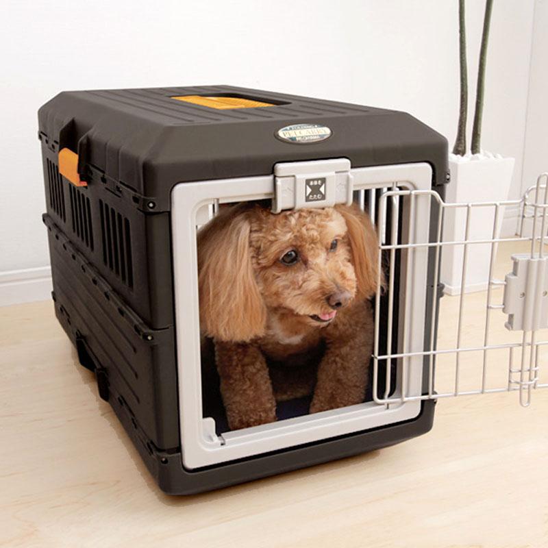 如何让狗狗适应笼子、围栏和成都航空箱？