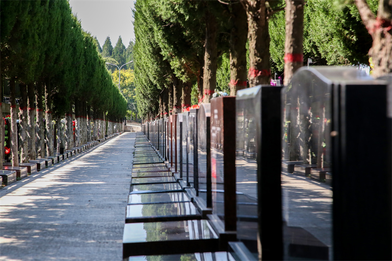 在西安怎么选择合适的墓地，墓园?有哪些注意事项?