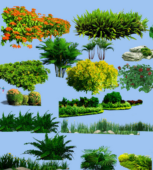 四川绿化地被植物的分类以及种植方法你知道吗？