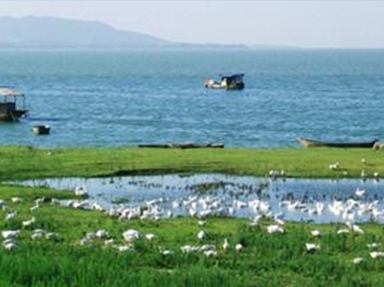 安徽巢湖流域水环境治理